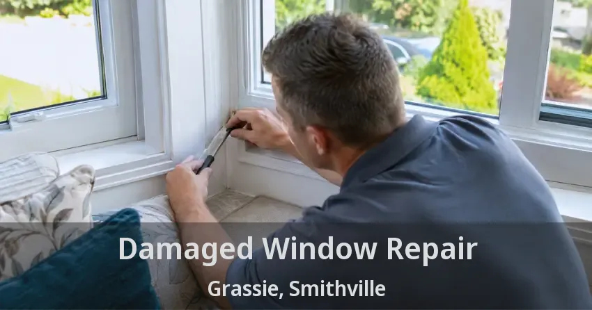 Damaged Window Repair Grassie, Smithville - ON
