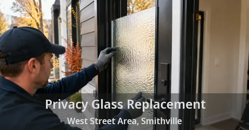 Privacy Glass Replacement West Street Area, Smithville - ON